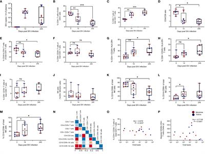 Diminished Peripheral CD29hi Cytotoxic CD4+ T Cells Are Associated With Deleterious Effects During SIV Infection